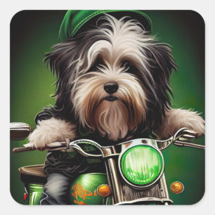 Pegatina Cuadrada Perro Havanés conduciendo bicicleta Día de San Pat