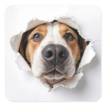 Perro hebiondo mirando a través de un agujero de p