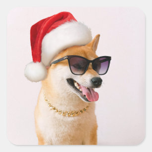 Pegatina Cuadrada Perro inu shiba en Santa Claus gorras rojos