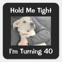 Perro lindo temido para cumplir 40 años graciosos