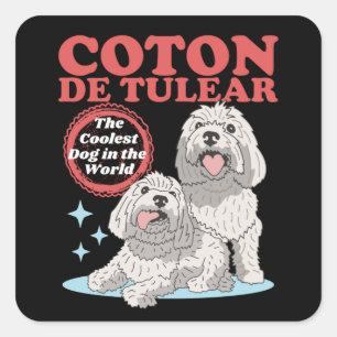 Pegatina Cuadrada Perro más frío de Coton de Tulear   Coton de TuLea