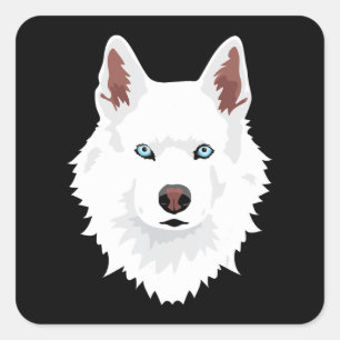 Pegatina Cuadrada Perro   Perro de nieve blanca canina blanca siberi