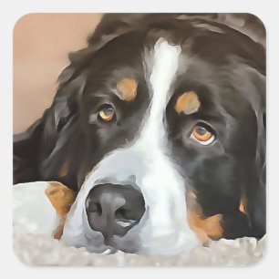 Pegatina Cuadrada Perro, perro hembra, perro de montaña de Bernese