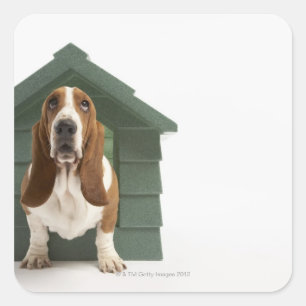 Pegatina Cuadrada Perro por perezoso