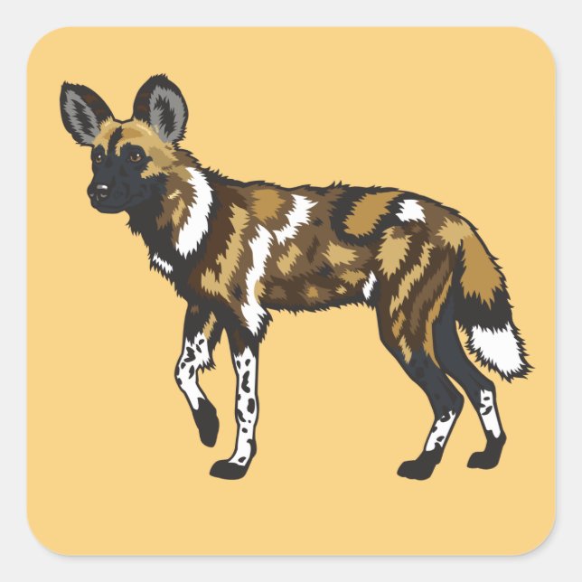 Pegatina Cuadrada Perro salvaje africano. África salvaje (Anverso)