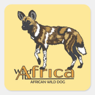 Pegatina Cuadrada Perro salvaje africano. África salvaje