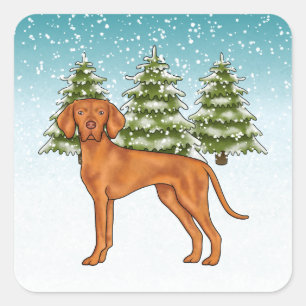 Pegatina Cuadrada Perro Vizsla Húngaro Bosque Invernal Nevado Festiv