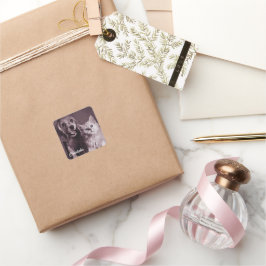 Pegatina Cuadrada Perro y gato, buscando personalizado