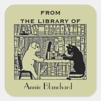 Pegatina Cuadrada Perro y gato en la biblioteca