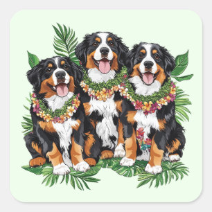 Pegatina Cuadrada Perros de montaña berneses hawaianos Flor Lei