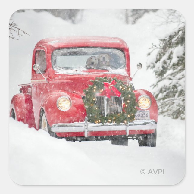 Pegatina Cuadrada Perros en un camión (Anverso)