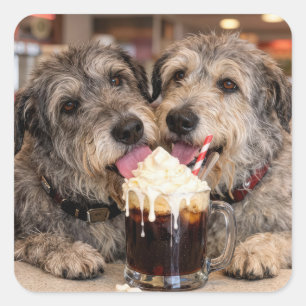Pegatina Cuadrada Perros Irish Wolfhound disfrutando de un Root Beer