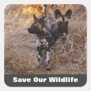 Pegatina Cuadrada Perros salvajes salvan nuestra vida silvestre