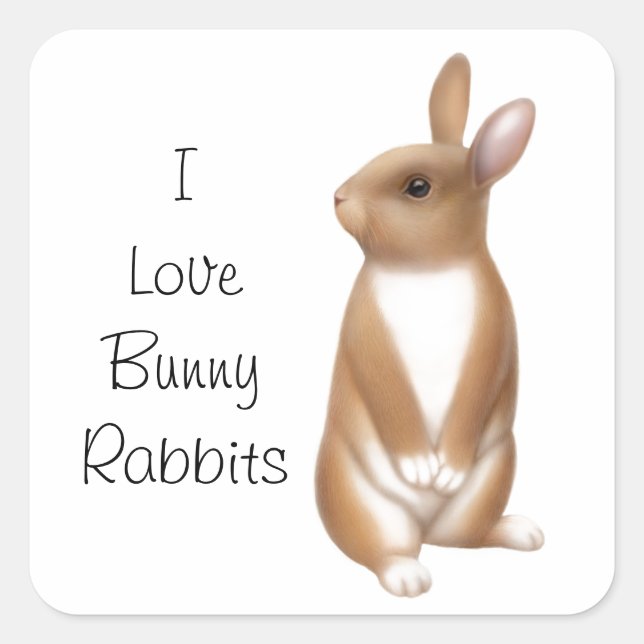 Pegatina Cuadrada Personalizable de amor conejo conejo conejo conejo (Anverso)