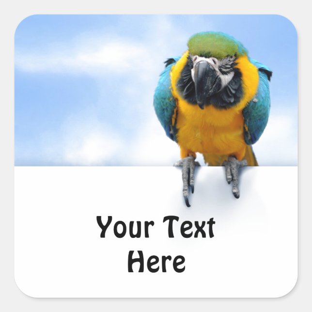 Pegatina Cuadrada Personalizable Macaw (Anverso)
