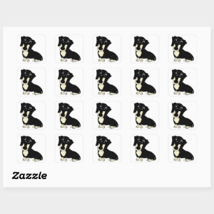 Pegatina Cuadrada personalizado dachshund negro y crema