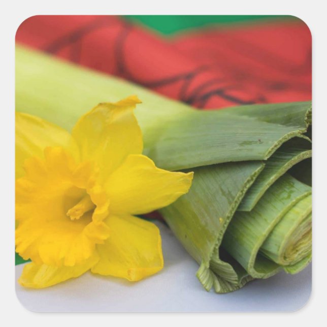 Pegatina Cuadrada Personalizado de Leek-Welsh (Anverso)