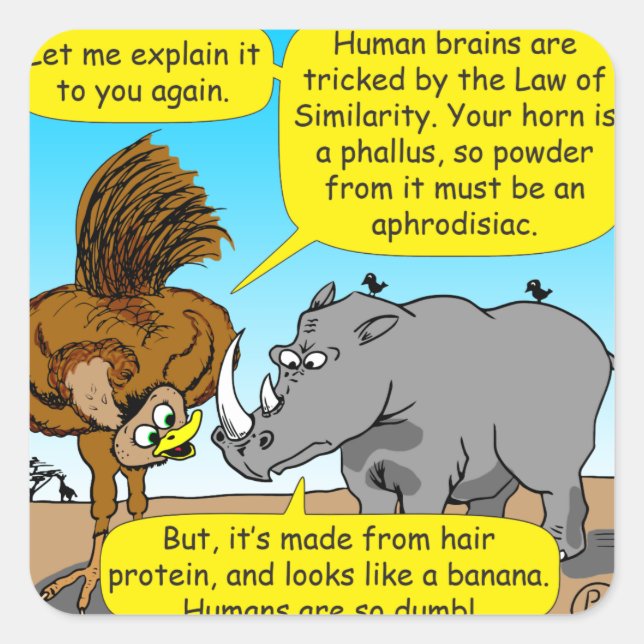 Pegatina Cuadrada personalizado de Rhino phallus (Anverso)