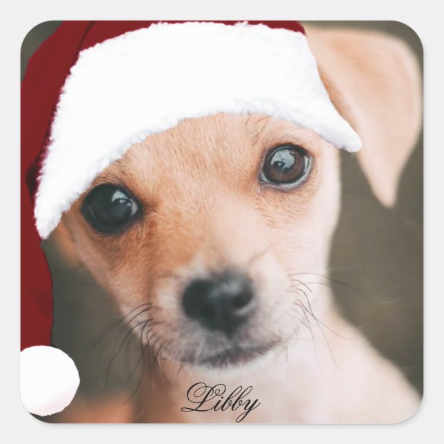 Pegatina Cuadrada Personalizado fotográfico mascota de Santa hat fot (Anverso)