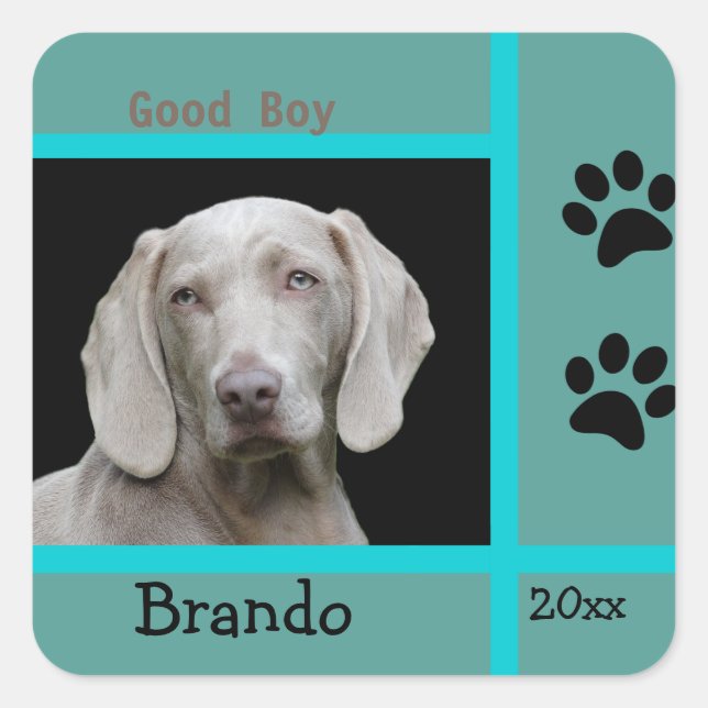 Pegatina Cuadrada Personalizado fotográfico Personalizado de perro (Anverso)