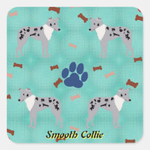 Personalizado Smooth Collie