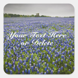 Pegatina Cuadrada Personalizado Textos Blue Spring Bluebonnets Texas