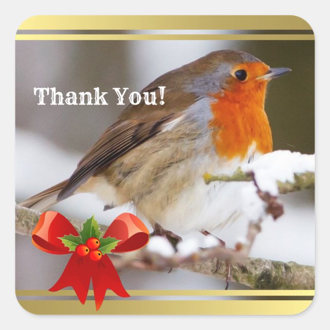 Pegatina Cuadrada Personalizado Textos lindo robo Gracias (Anverso)