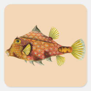 Pegatina Cuadrada personalizar de envoltura de pescado me pegatinas