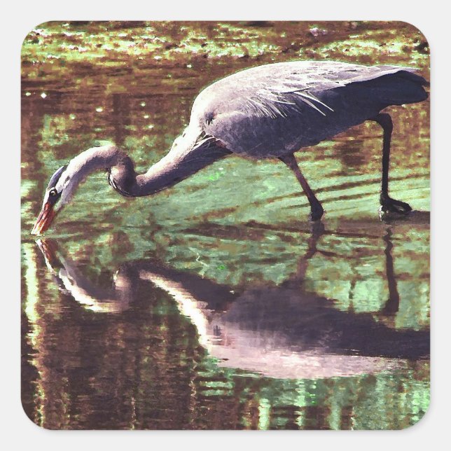 Pegatina Cuadrada Pesca de garza azul (Anverso)
