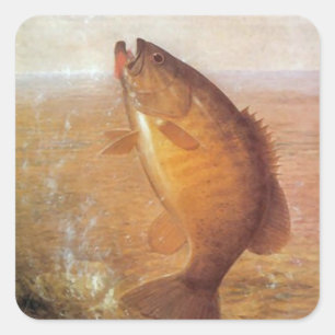 Pegatina Cuadrada Pescado