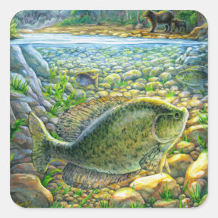 Pegatina Cuadrada Pescado del río Montaña