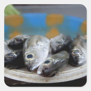 Pegatina Cuadrada Pescado fresco en el Mercado de Peixe),
