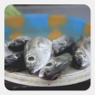 Pegatina Cuadrada Pescado fresco en el Mercado de Peixe),