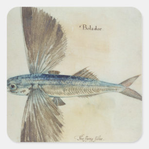Pegatina Cuadrada Pescado volador
