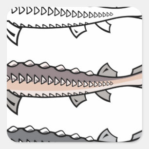 Pegatina Cuadrada Pescados raros del esturión