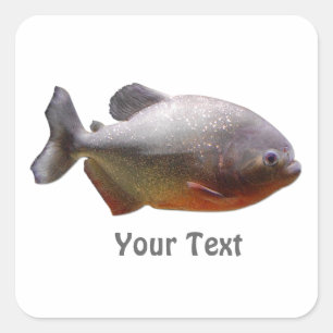 Pegatina Cuadrada Pescados suramericanos de la piraña