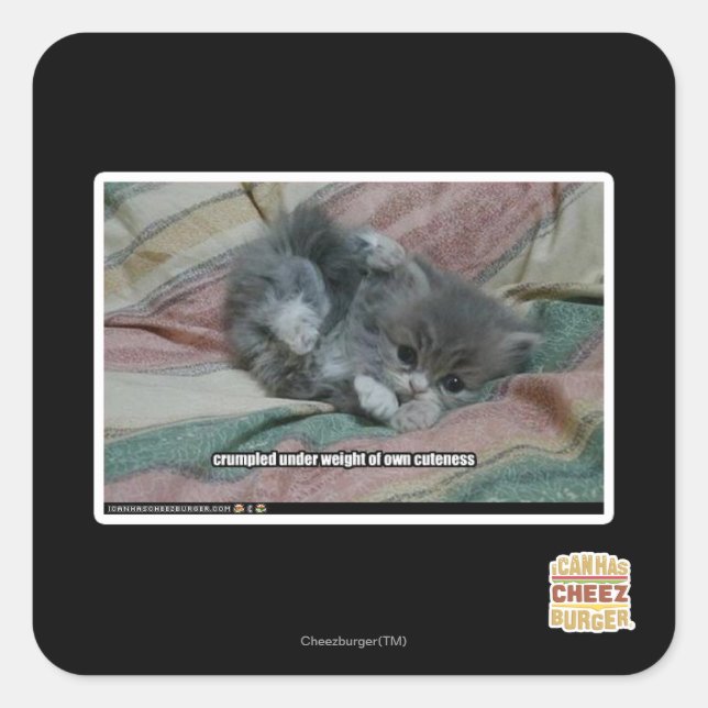 Pegatina Cuadrada Peso de la propia cortesía (Anverso)