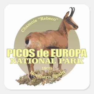 Pegatina Cuadrada PESO de Picos de Europa NP (gamuza)