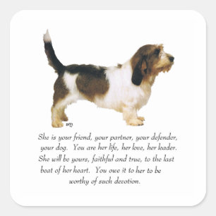 Pegatina Cuadrada Petit Basset Griffon Vendeen