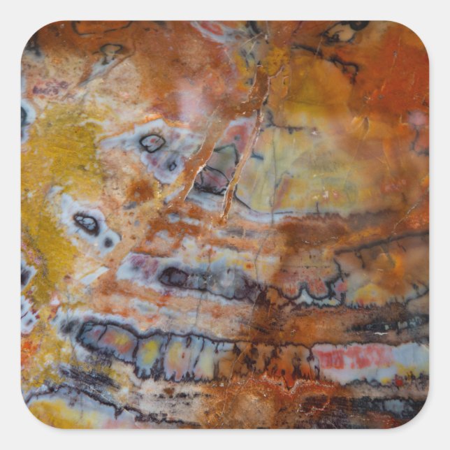 Pegatina Cuadrada Petrified Wood Brown (Anverso)