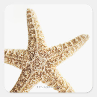 Pegatina Cuadrada Pez estrella