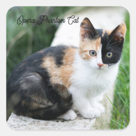 Pegatina Cuadrada Phantom Opera Cat