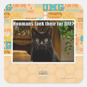 Pegatina Cuadrada ¿Piel de Hoomans Taek allí APAGADO?