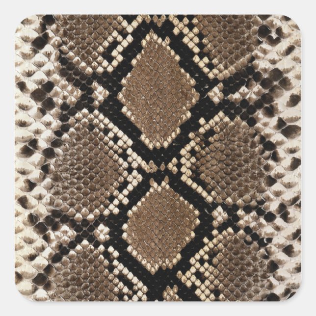 Pegatina Cuadrada Piel Diamond Back Rattlessnake (Anverso)