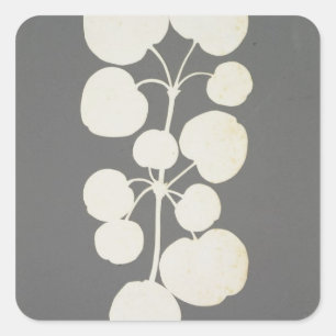 Pegatina Cuadrada Pimienta de Cayena