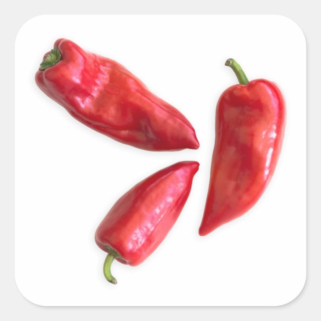 Pegatina Cuadrada Pimienta roja (Anverso)
