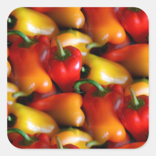 Pegatina Cuadrada Pimientos rojos y amarillos