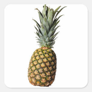 Pegatina Cuadrada Piña