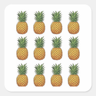 Pegatina Cuadrada Piña