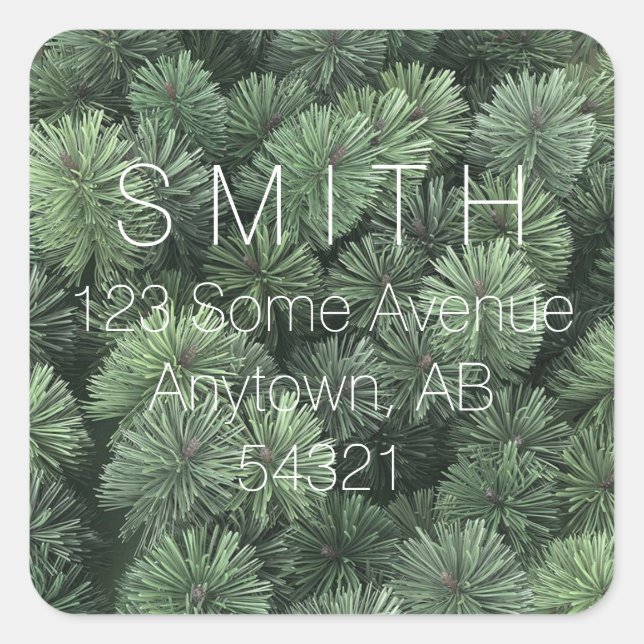 Pegatina Cuadrada Pine Branches Evergreen Fir Tree Needles Winter (Anverso)